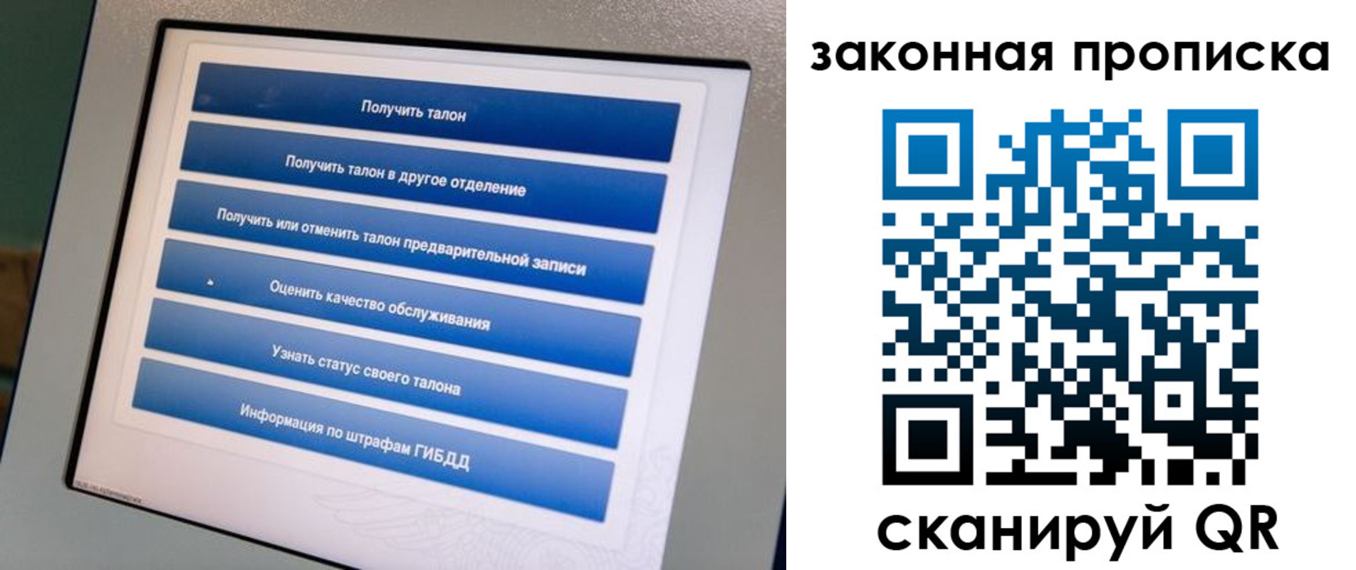 прописка 2025 в Тосно